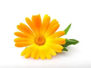 Blog: Unlock the Healing Power