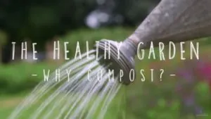 Why Compost?