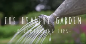 compost-tips
