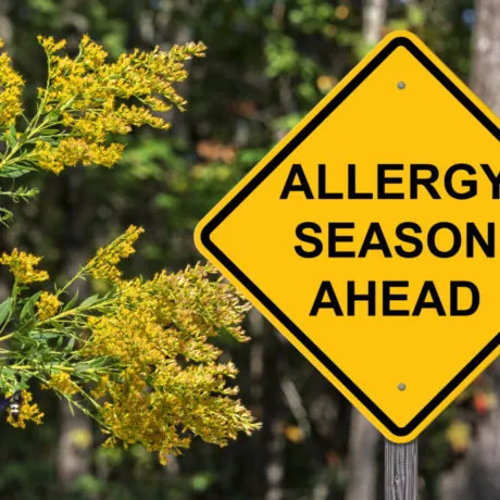 Caution - Allergy Season Ahead