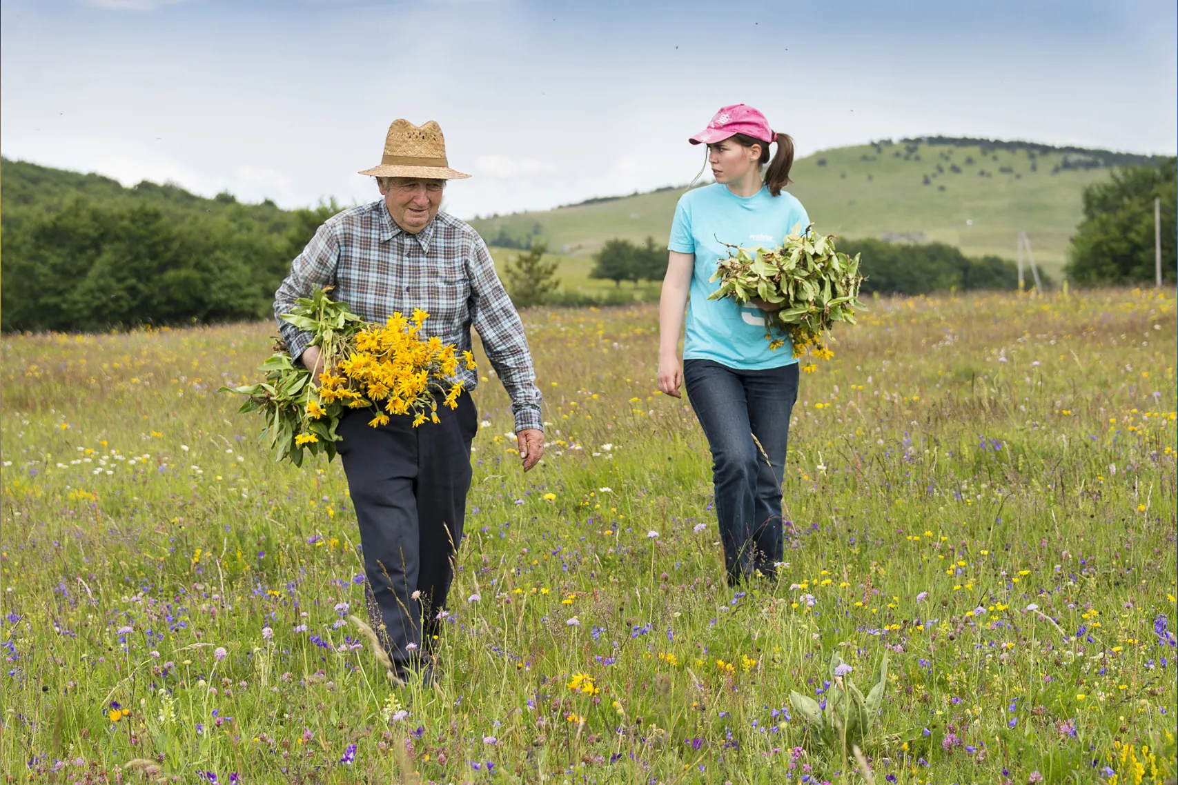For the Love of Arnica