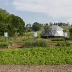 Boiron-Signs-and-Raised-Beds-wide-shot-1-150x150