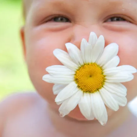 Happy child with a flower chamomile