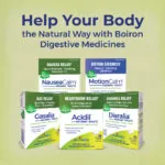 2024_Digestive-Cross_sell (1)