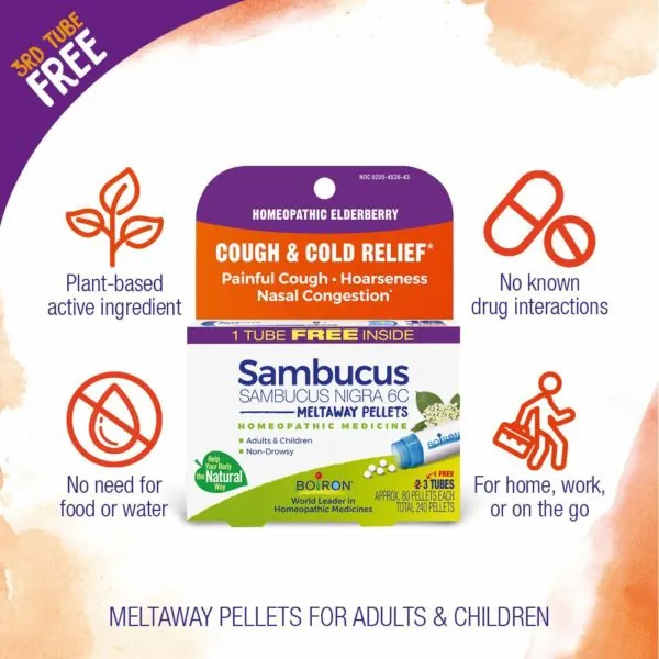 Sambucus Nigra 6C Multi-Pack