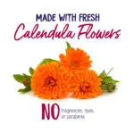 Calendula-Ingredients-2021