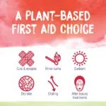 CalendulaCream_PlantBased