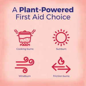 Calendula Burn Ointment