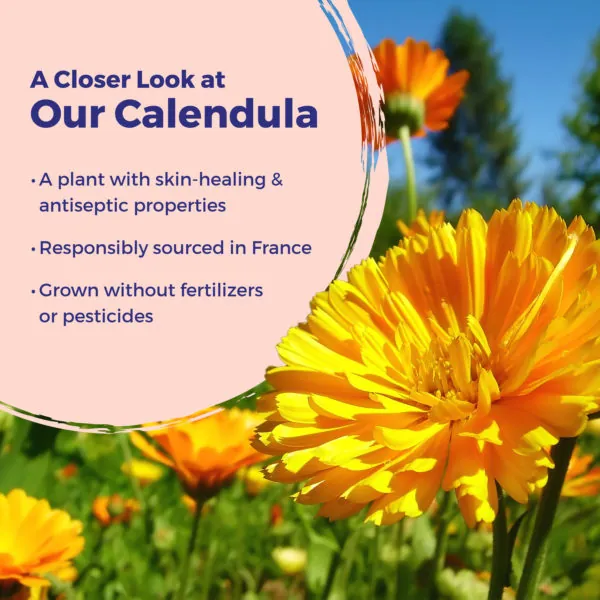 Calendula Burn Ointment