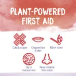 Calendula_Ointment-Uses-2021