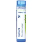 Cantharis30c-2572x2572-538928a