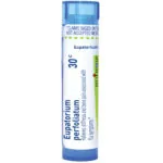 Eupatorium_perfoliatum30c-2533x2533-ed8a236