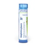 Galphimia_glauca30c_shadows_3000X3000