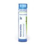 Kalmia_latifolia30c_shadows_3000X3000