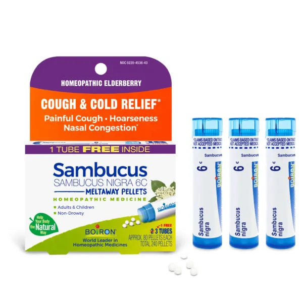 Sambucus Nigra 6C Multi-Pack
