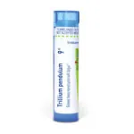 Trillium_pendulum9c_shadows_3000X3000