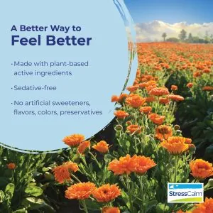 StressCalm® Tablets