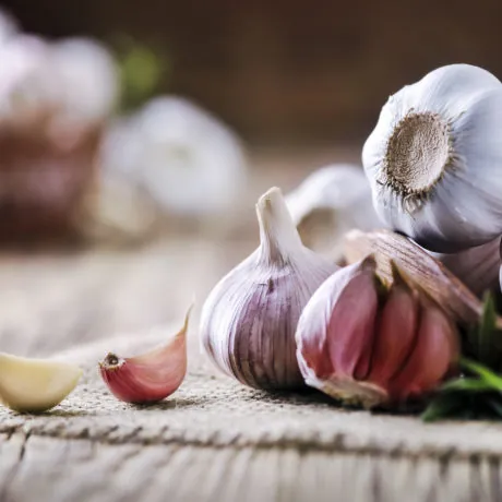 Garlic cloves on rustic table. Garlic in wooden bowl. Fresh peeled garlic and bulbs.