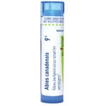 Abies_canadensis9c-2584x2584-002849e