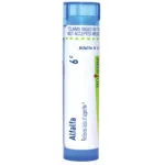 Alfalfa6c-2578x2578-28503bf