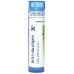 Artemisia_vulgaris30c-2565x2565-ae33f2a