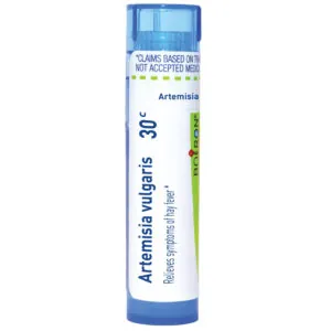 Artemisia_vulgaris30c-2565x2565-ae33f2a