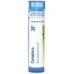 Camphora30c-2563x2563-39acb19