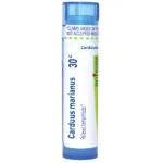 Carduus_marianus30c-2572x2572-538928a