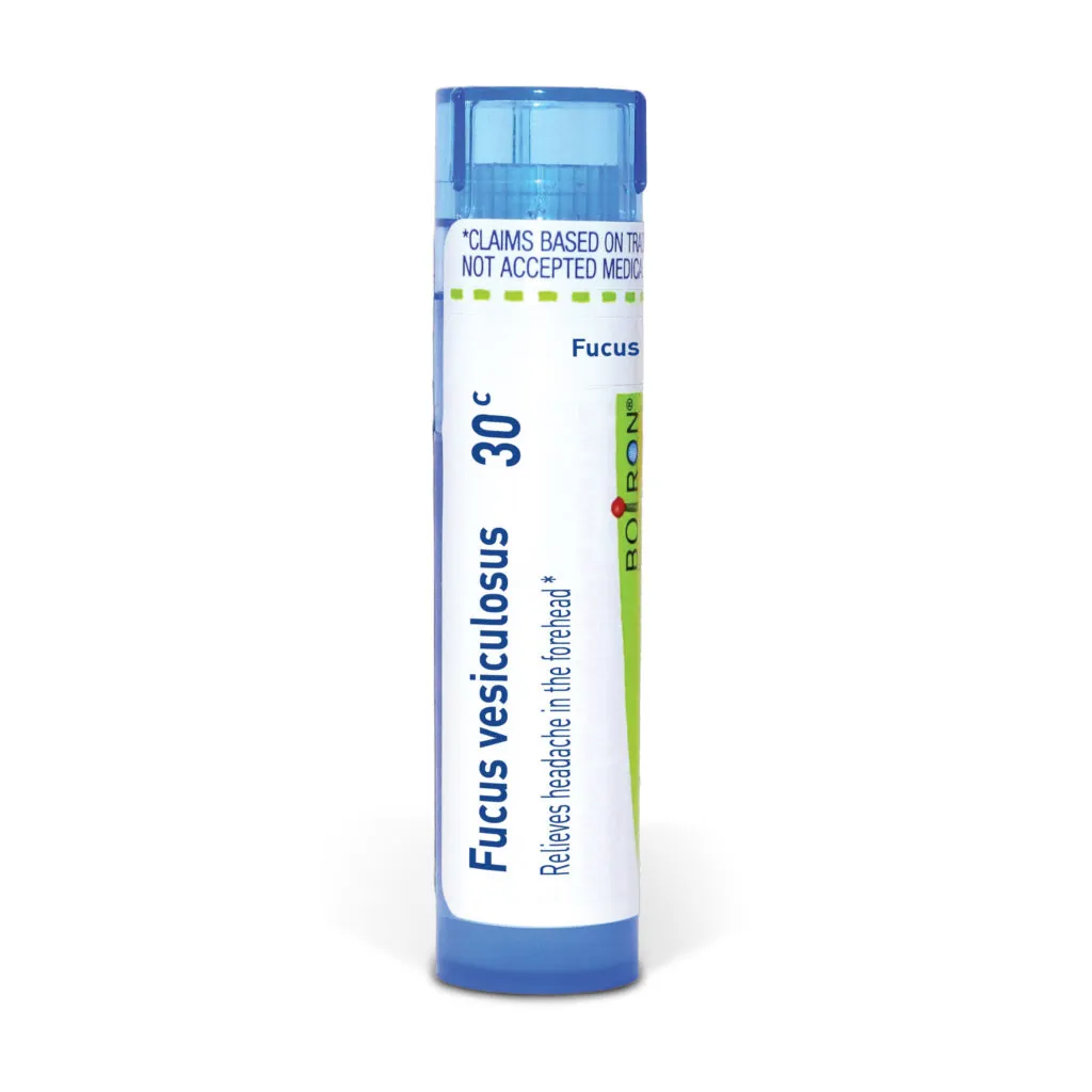 Fucus_vesiculosus30c_shadows_3000X3000