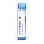 Fucus_vesiculosus30c_shadows_3000X3000