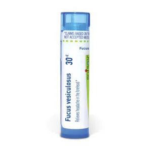 Fucus_vesiculosus30c_shadows_3000X3000