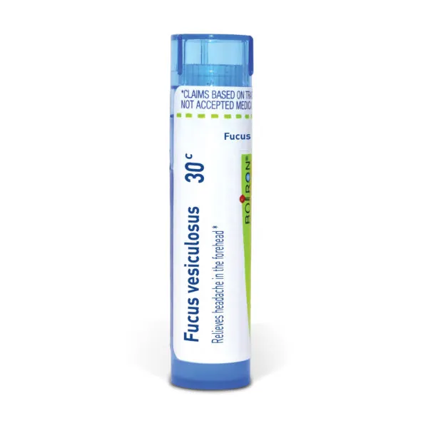 Fucus Vesiculosus
