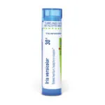 Iris_versicolor30c_shadows_3000X3000