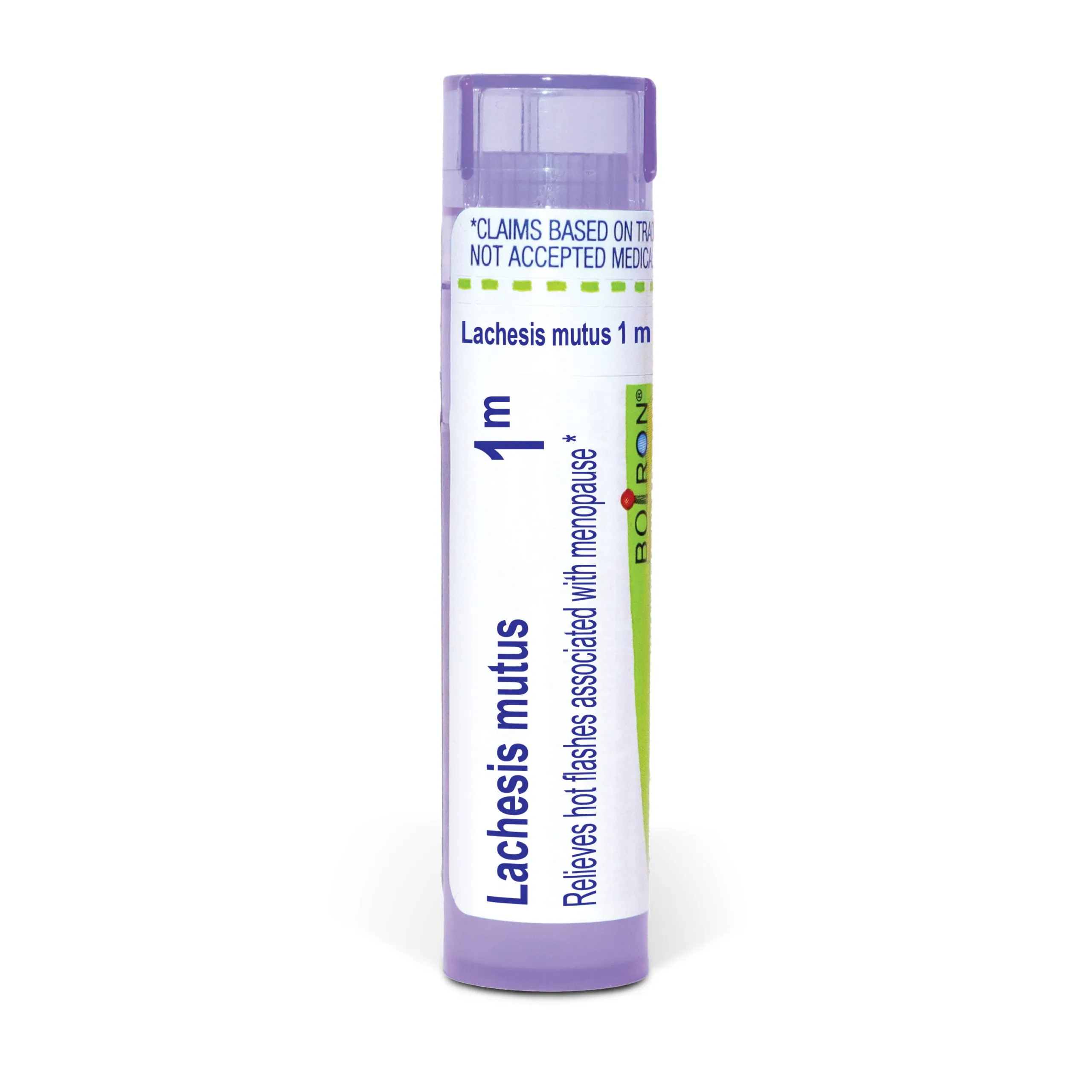 Lachesis_mutus1m_Purple_Tube_L