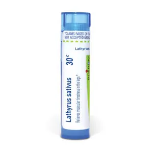 Lathyrus_sativus30c_shadows_3000X3000