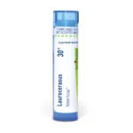 Laurocerasus30c_shadows_3000X3000