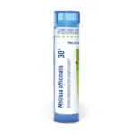 Melissa_officinalis30c_shadows_3000X3000