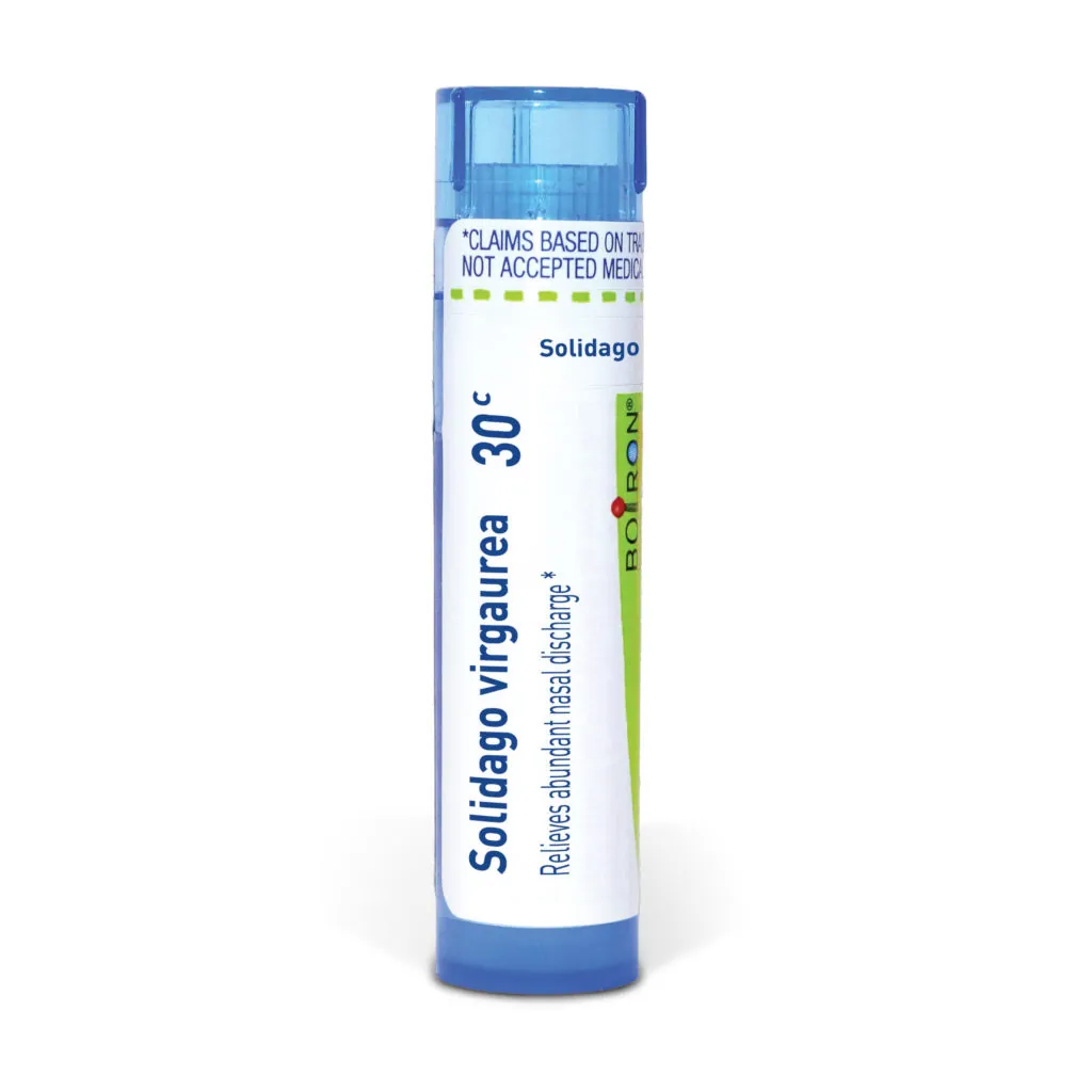 Solidago_virgaurea30c_shadows_3000X3000