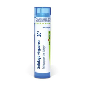 Solidago_virgaurea30c_shadows_3000X3000