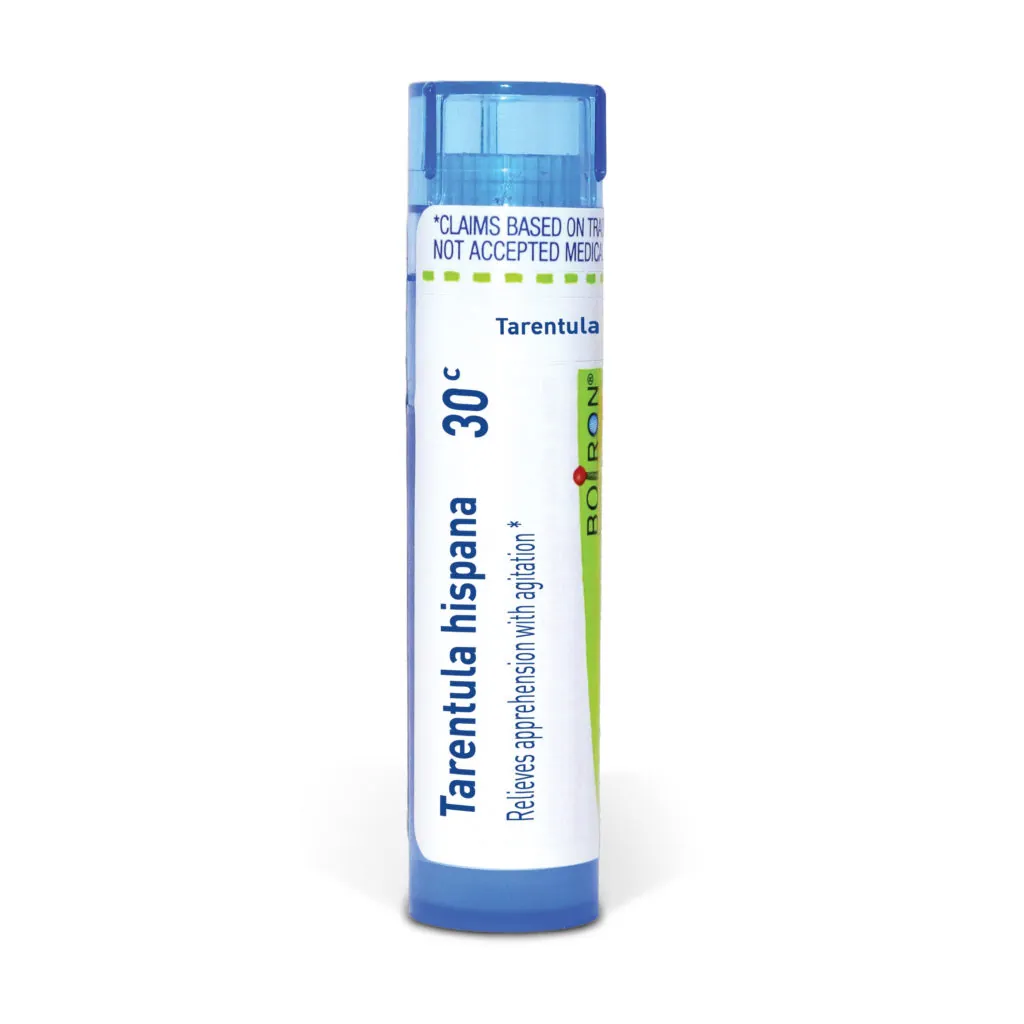 Tarentula_hispana30c_shadows_3000X3000