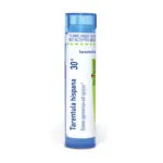 Tarentula_hispana30c_shadows_3000X3000