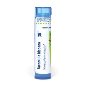 Tarentula_hispana30c_shadows_3000X3000