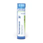 Teucrium_marum30c_shadows_3000X3000