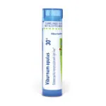 Viburnum_opulus30c_shadows_3000X3000