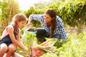 Mother And Daughter Working On Allotment Together