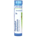 Chenopodium_anthelminticum9c-2580x2580-1dfb485