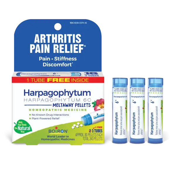 Harpagophytum 6C Multi-Pack