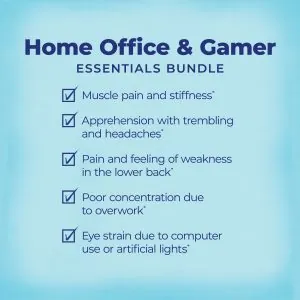 Home Office & Gamer Essentials Bundle