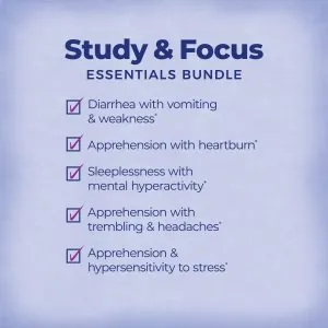 Study & Focus Essentials Bundle