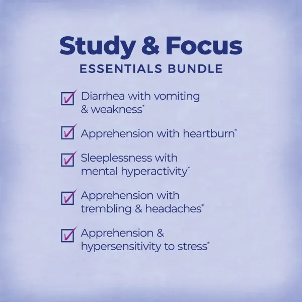 Study & Focus Essentials Bundle